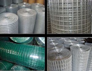 Welded Wire Mesh