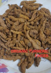 organic turmeric fingers