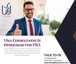 visa consultants
