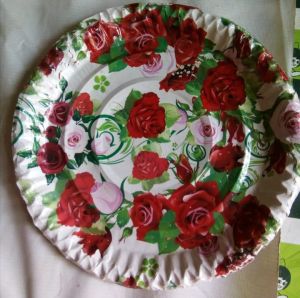 Printed Paper Plate