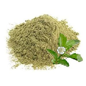 Bhringraj Leaves Powder