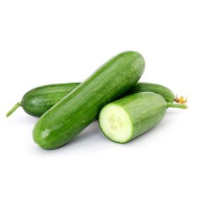Fresh European Cucumber