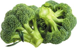 Fresh Green Broccoli