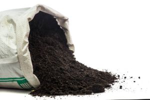 vermicompost