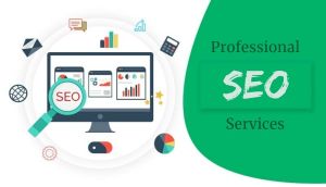 Search Engine Optimization Services