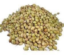 Coriander Seeds