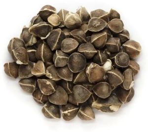 Moringa Seeds