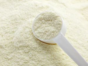 Skimmed Milk Powder