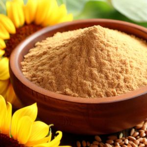 Sunflower Lecithin Powder  