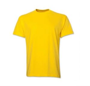 Mens Polyester T-Shirt