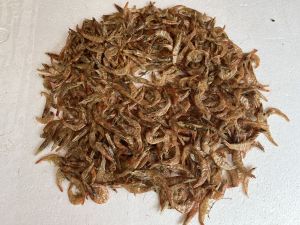 Dry fresh water prawns medium size