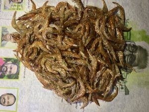 Dry prawns large size