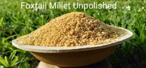 Organic Foxtail Millet