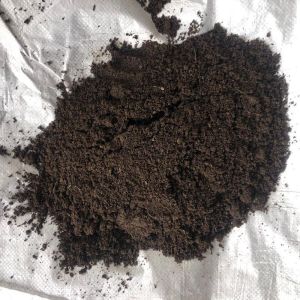 Vermicompost Fertilizer