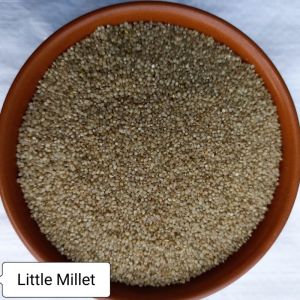 Little Millet