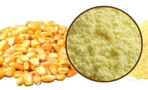 Corn Flour