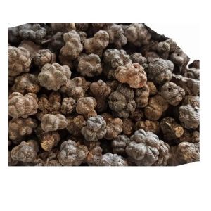 dried noni fruit