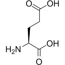 L-glutamic Acid