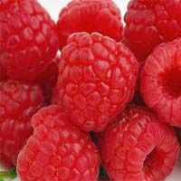 raspberry flavor
