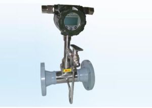 Vortex Flow Meter