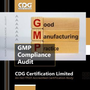 WHO GMP Audit in Thane
