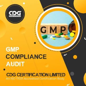 WHO GMP Audit in Pune