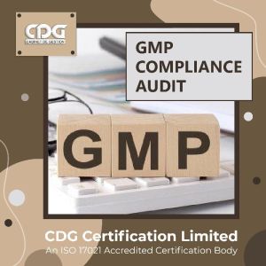WHO GMP Audit in Ahmedabad