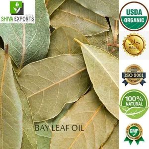 Bay Leaf Oil