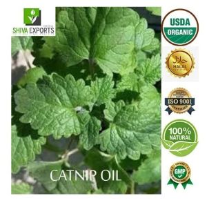 catnip oil