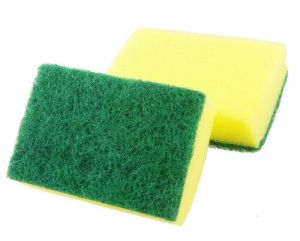 Sponge Scrub Pad