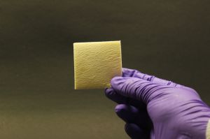 Collograft-B Dry Collagen Sheet