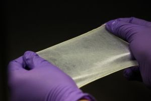 Colloskin Collagen Sheets