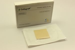 Collograft Collagen Sheets