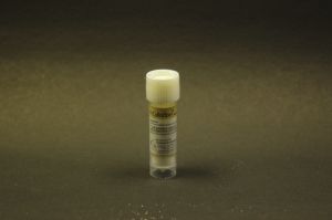 Collofiber Sterile