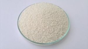 Esomeprazole Enteric Coated Pellets