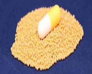 Itopride Hydrochloride Sustained Release Pellets