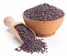 Black Brown Mustard Seeds