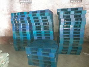 Plastic Pallets