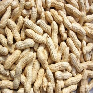 Groundnuts