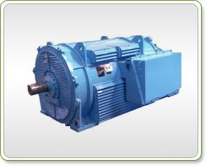 2 Pole Electric Motor