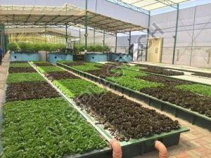 Heavy Duty 2 Inch Plastic Net Pot