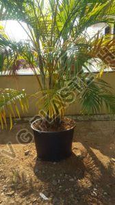 Unbreakable Nursery Pot