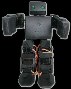 Programmable Humanoid (VPL-RAT-PH)