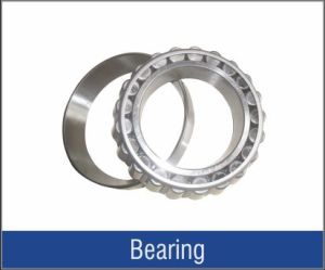 Trailer Wheel Bearings