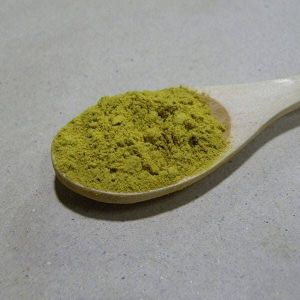 Andrographis Paniculata Extract