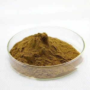 Bacopa Monnieri Extract