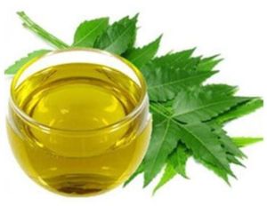 Neem Liquid Extracts