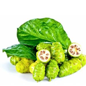 Noni Extract