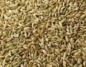 Fennel Seeds