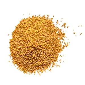 Yellow Mustard Seeds